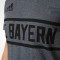adidas Bayern München Graphic Tee 2017/18